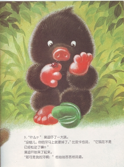 鼹鼠莫迪和活动的牙 (05),绘本,绘本故事,绘本阅读,故事书,童书,图画书,课外阅读